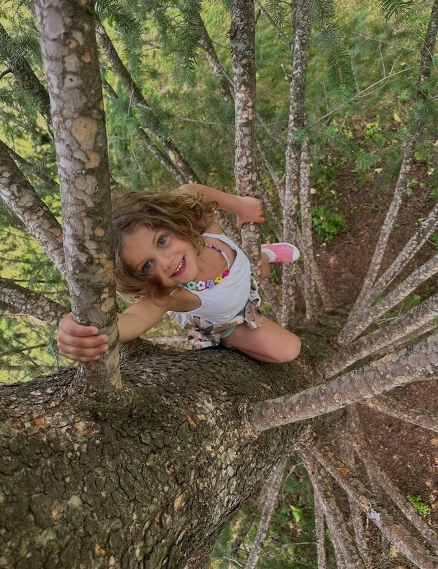 A child climbing a tree at Cedar Grove