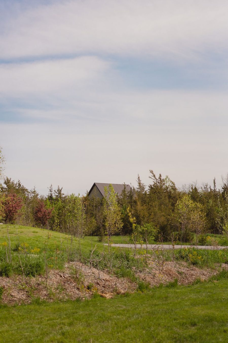 The Cedar Grove school building across the meadow
